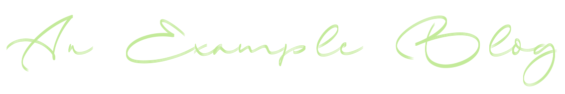 Blog Example 1